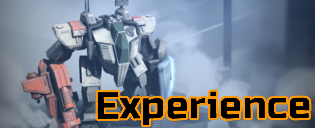 Wiki Experience Image.png